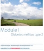 cover folder diabetes type 2